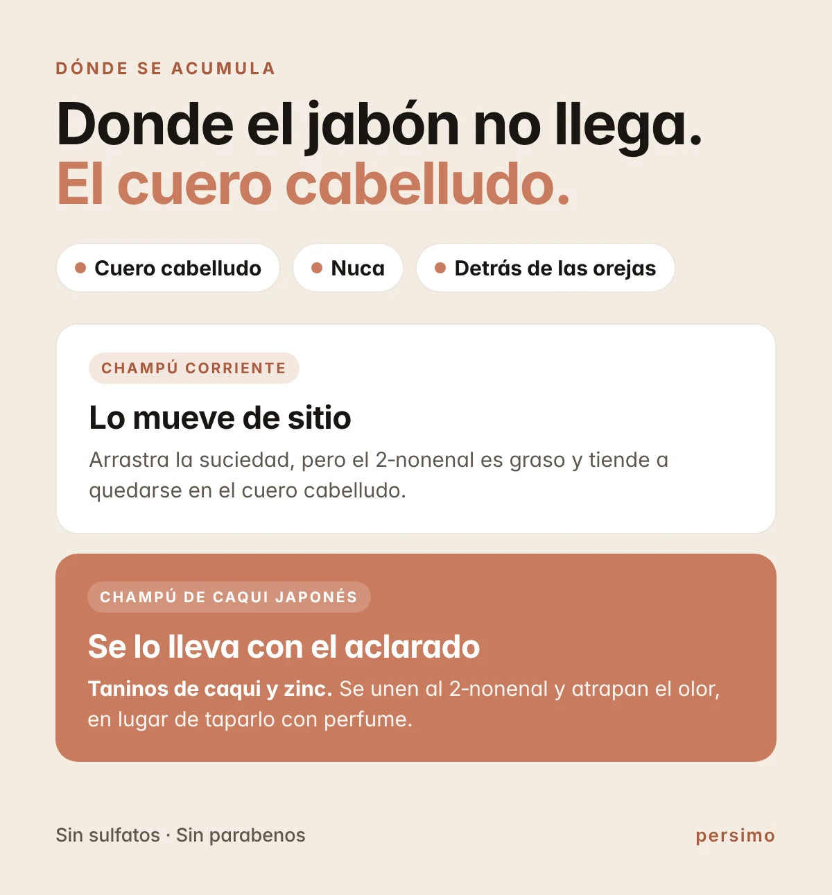 El 2-nonenal se acumula en el cuero cabelludo, la nuca y detrás de las orejas.